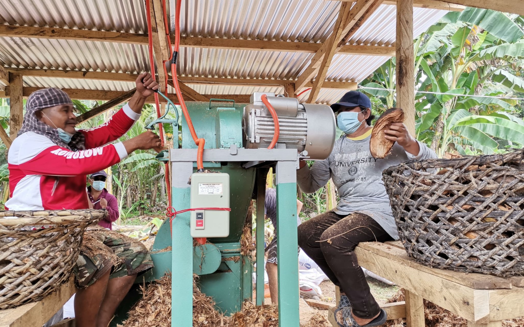 TAFWA starts coco chipping operations