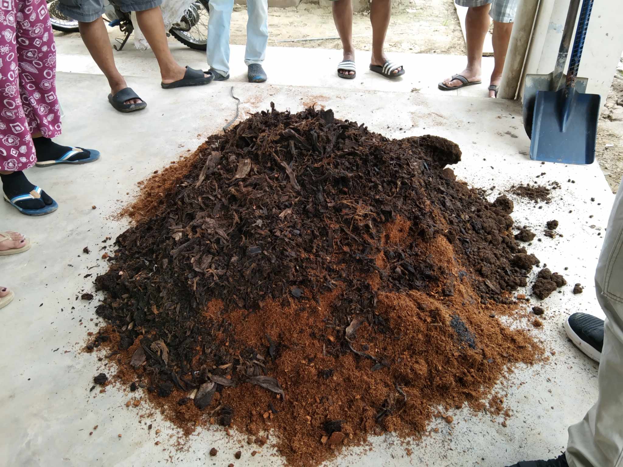 Empowering Coconut Farmers Through Climate-Smart Agriculture Training